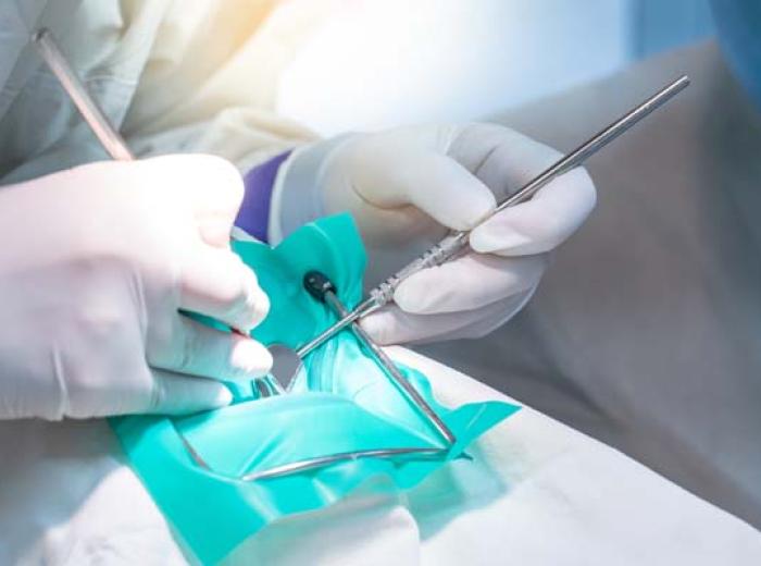 Immediate Response for Your Dental Emergencies in Jenkintown
