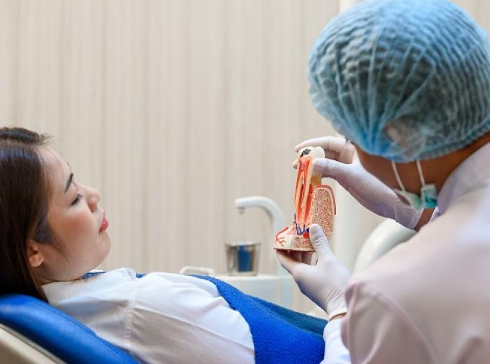 Family Dentist in Jenkintown: Your Partner in Oral Health