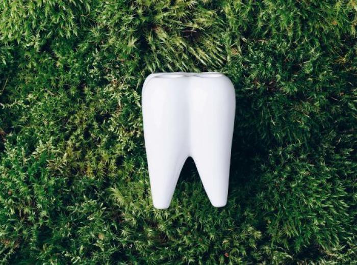 What Is Holistic Dentistry? A Natural Approach to Oral Health